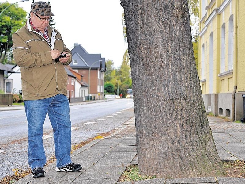 Der Wegebegeher: Sicherheit, Verantwortung und die Kunst der Wegeprüfung